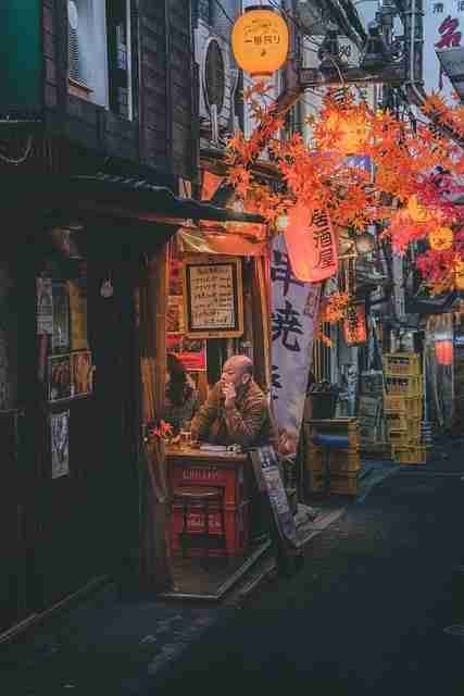 绽放·每日大赛在线免费观看·梳理进化史:高燃瞬间,绽放百科